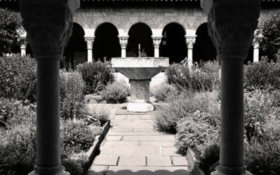 Our Relationship Garden