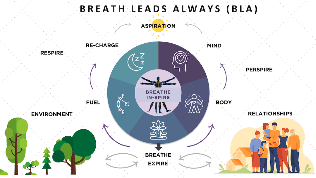 mindfulness-experience-wheel